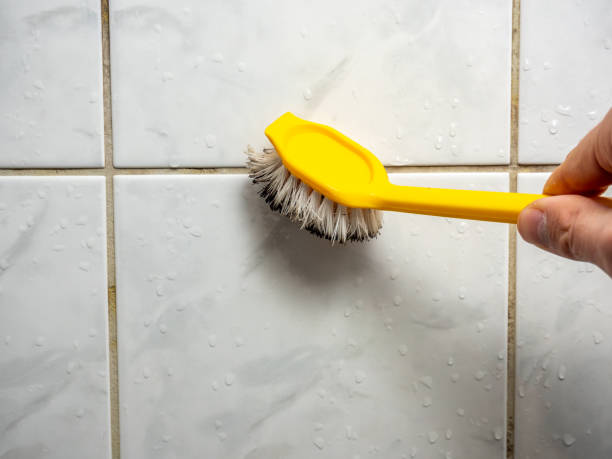 Best Mold Damage Repair  in Leadville, CO